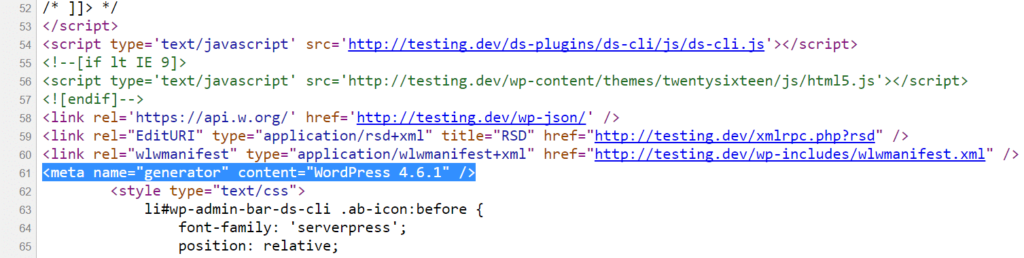 源代码中的WordPress版本
