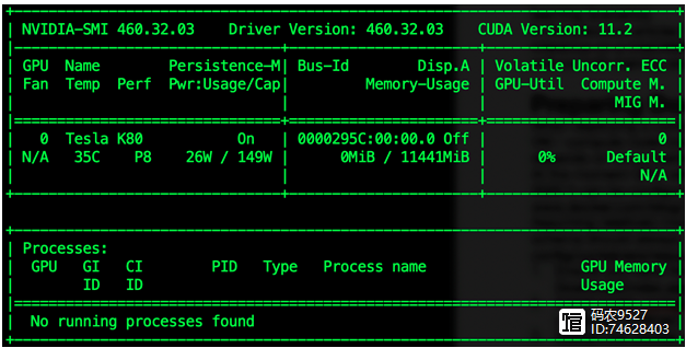 【AI】在docker中部署ollama体验AI模型