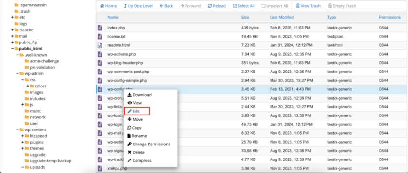 右键单击编辑 wp-config.php 文件,或将其下载到您的计算机 - WordPress 允许的文件类型