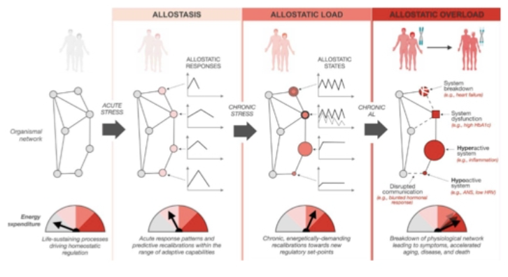 1749871688390633.png image.png